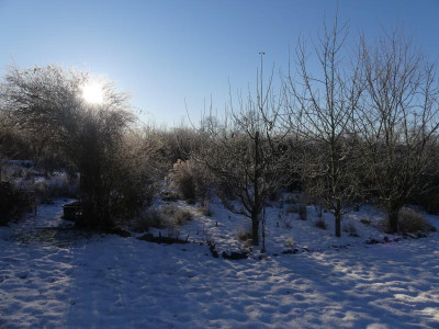 2021_1226Weihnachten20210112.JPG