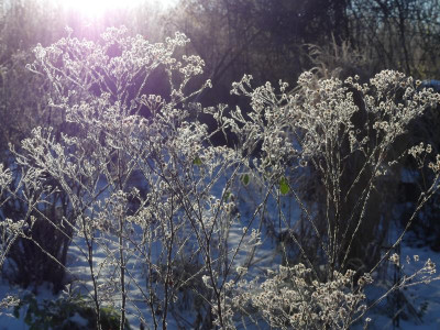 2021_1226Weihnachten20210128.JPG