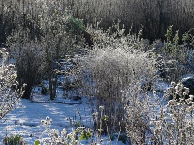 2021_1226Weihnachten20210134.JPG