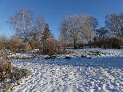 2021_1226Weihnachten20210139.JPG