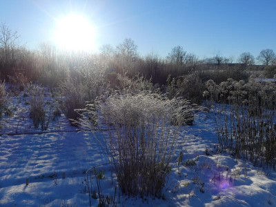 2021_1226Weihnachten20210145.jpg