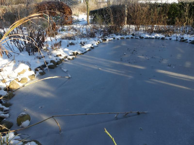 2021_1226Weihnachten20210209.JPG