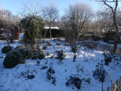 2021_1226Weihnachten20210211.JPG