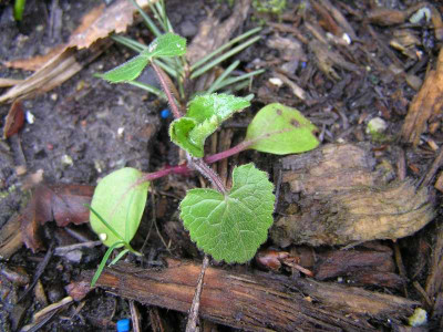 unbek60308.jpg