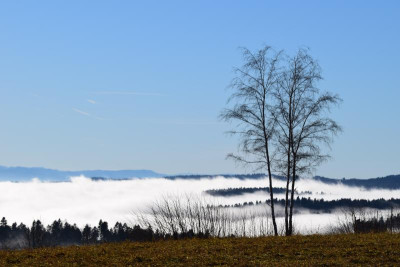 DSC_0625.JPG