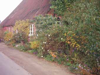 Herbstansicht_vorne_Kopie.jpg
