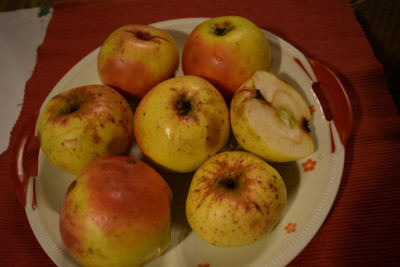 Fundapfel Kraichgau 010.JPG