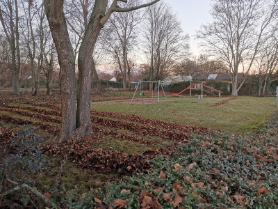 Laubkartoffeldamm.jpg