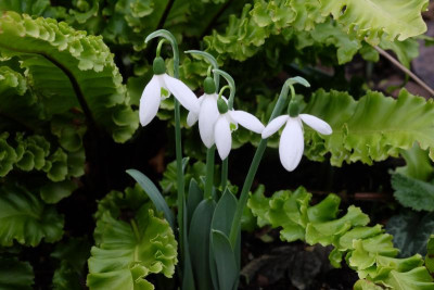 DSCF5594.JPG