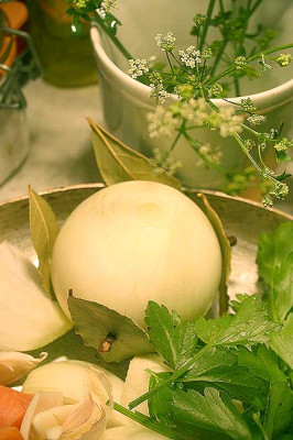 rind03.jpg
