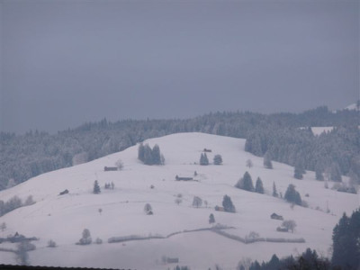 04.03.2008.20.JPG