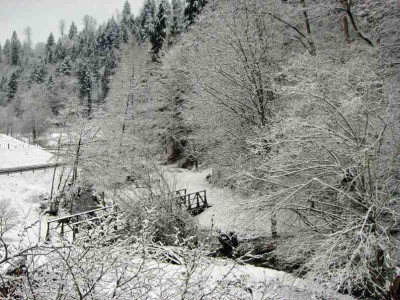 WINTER_IM_MARZ.jpg