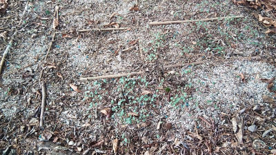 IMG_20220103_102611.jpg