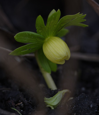 DSC_4088_DxO.jpg