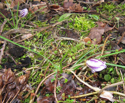 IMG_5154_C_imperati_De_Jager_3Jan2022_.jpg