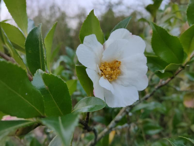 IMG20220101161348.jpg