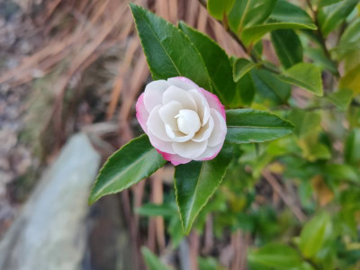 IMG20220101161524.jpg