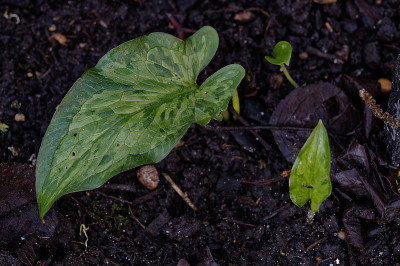 DSC_4097_DxO.jpg