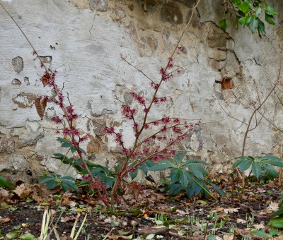tg_220106.jpg