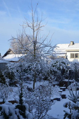 DSC_3181.JPG