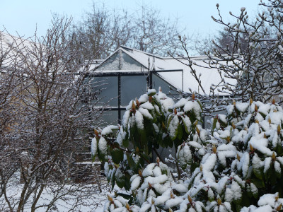2022-01-08 Gartenimpressionen 1.jpg