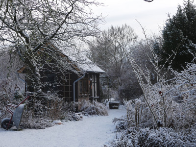2022-01-08 Gartenimpressionen 2.jpg