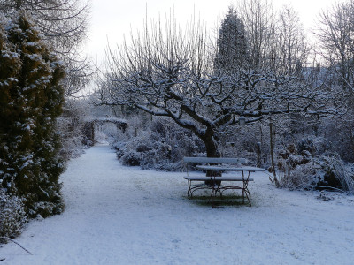 2022-01-08 Gartenimpressionen 3.jpg