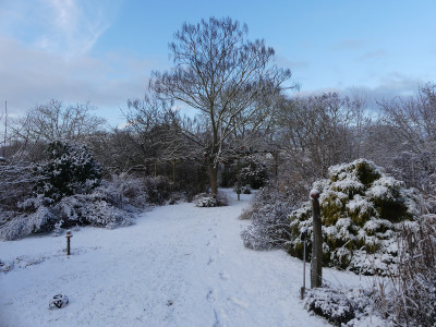 2022-01-08 Gartenimpressionen 4.jpg