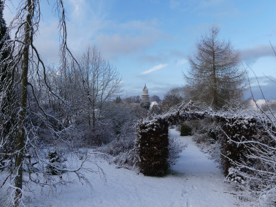 2022-01-08 Gartenimpressionen 5.jpg