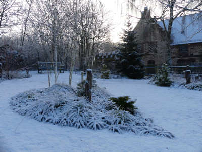 2022-01-08 Gartenimpressionen 6.jpg