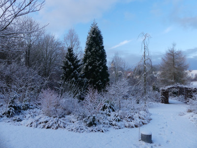 2022-01-08 Gartenimpressionen 7.jpg