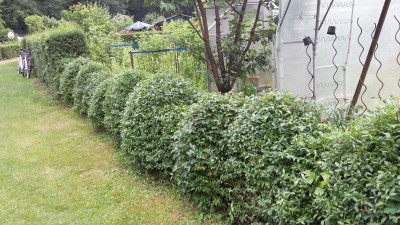 20190610_145628.jpg