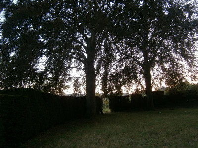 Villa Moser, Leibfried 039.JPG