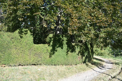 Villa Moser 047.JPG