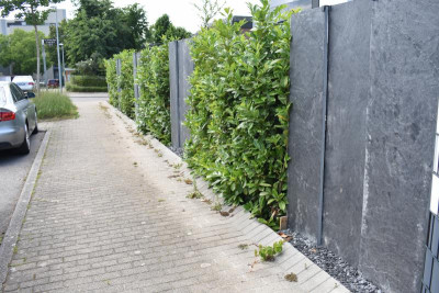 Vorgarten Reihenhäuser 003.JPG