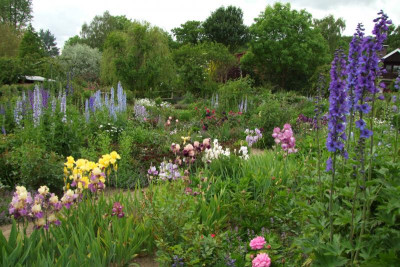 Juni Garten.JPG