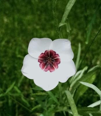 Screenshot_20200912_095907.jpg