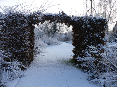 2022-01-08 Garteneinblick 7.jpg