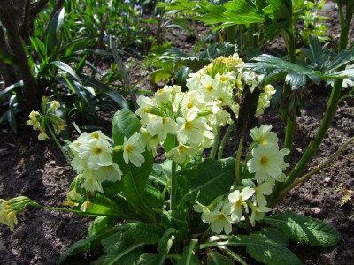2021_0207Mai210237.JPG