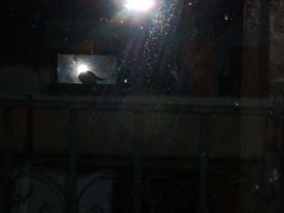 DSCN3498.JPG