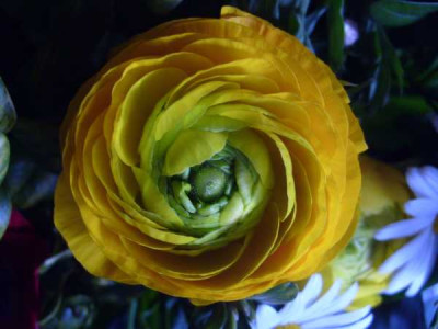 S7002553klein.jpg