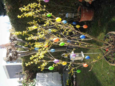 Ostern1.jpg