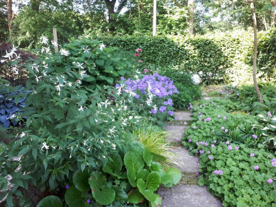 20210618_090009.jpg