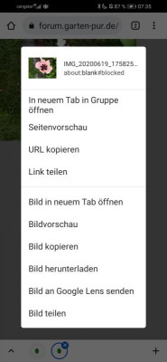 Screenshot_20220114_073520_com.android.chrome.jpg