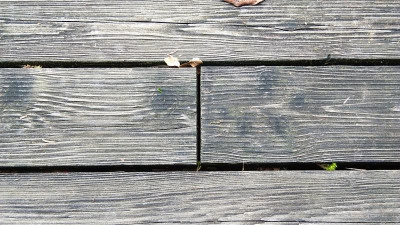 IMG_20220115_105024.jpg