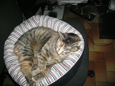 Fanny_im_Bett.jpg