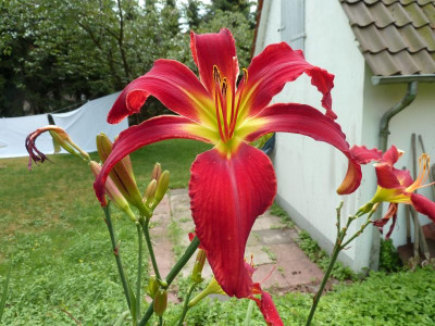 P1000374.JPG