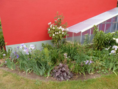 P1000525.JPG