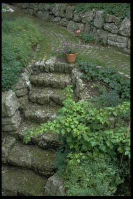 a_steile_Treppe_aus_Nagelfluh_-_Naturstein.jpg