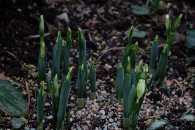 DSCF5637.JPG